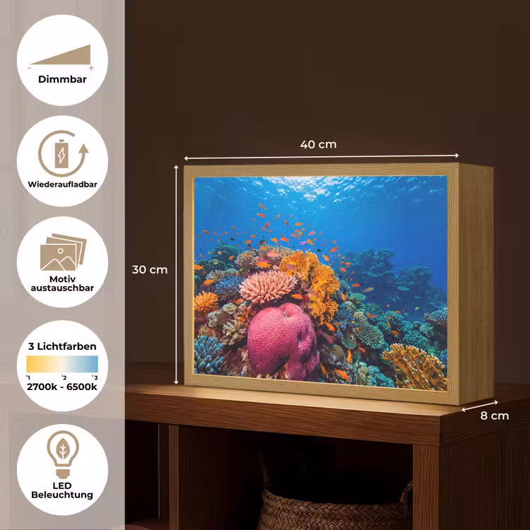 Koraal - Vissen - Oceaan - Natuur - Kleurrijk Light Box met batterij (Wandlamp) middel -USP_websiteoverzichtDE