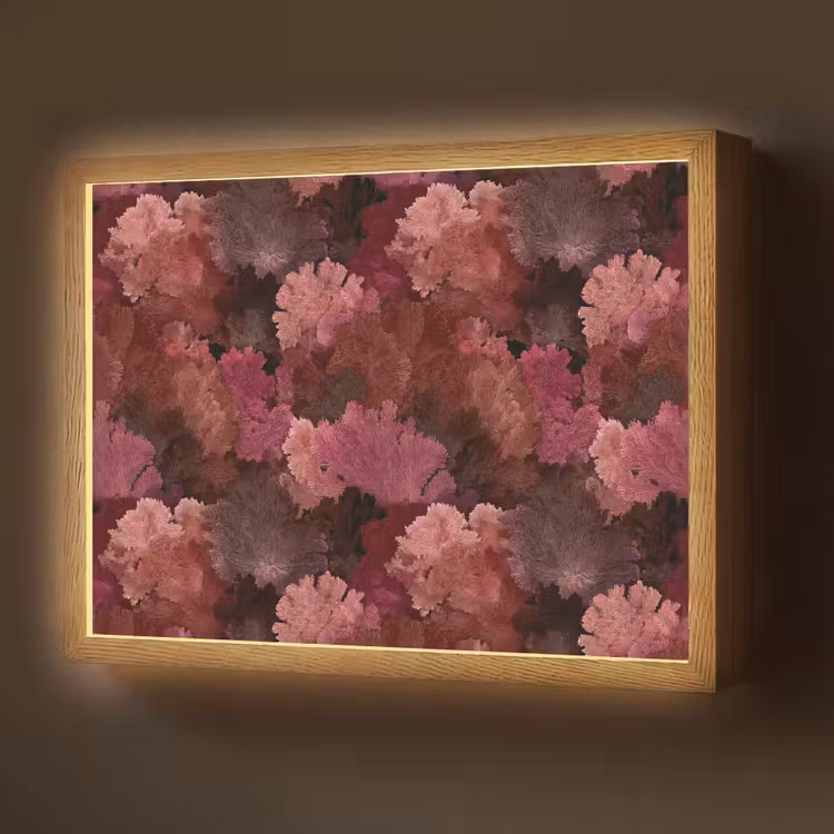 Koraal - Textuur - Kleurrijk Light Box met batterij (Wandlamp) middel 907 -z3d_website