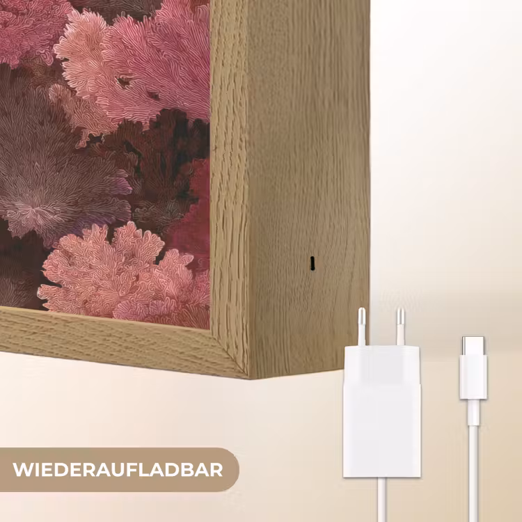 Koraal - Textuur - Kleurrijk Light Box met batterij (Wandlamp) middel 907 -USP_websiteoplaadbaarDE