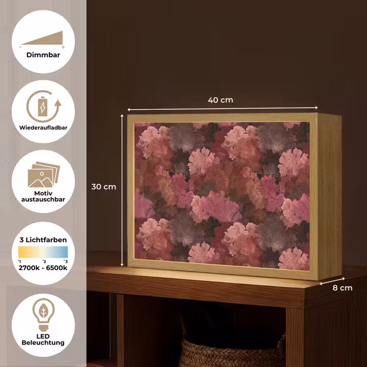 Koraal - Textuur - Kleurrijk Light Box met batterij (Wandlamp) middel 907 -USP_websiteoverzichtDE