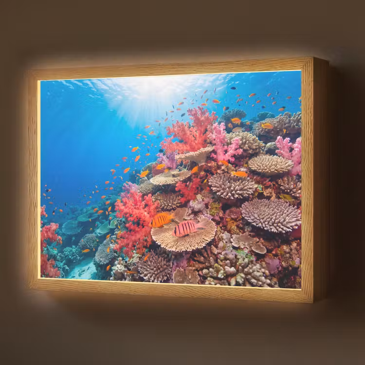Koraalrif - Vissen - Onderwater - Tropisch - Rood Light Box met batterij (Wandlamp) middel -z3d_website