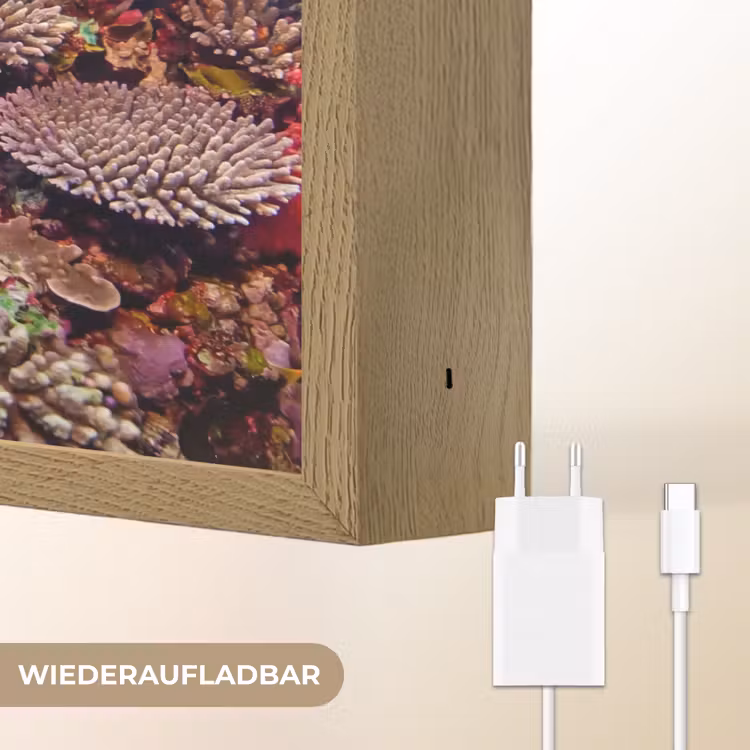 Koraalrif - Vissen - Onderwater - Tropisch - Rood Light Box met batterij (Wandlamp) middel -USP_websiteoplaadbaarDE