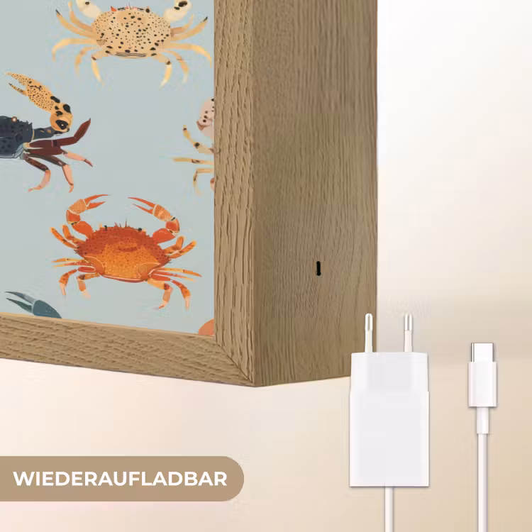 Krabben - Speels - Kleurrijk Light Box met batterij (Wandlamp) middel 907 -USP_websiteoplaadbaarDE