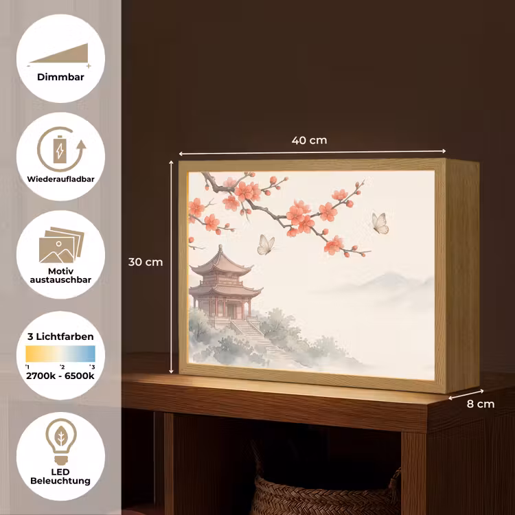 Kraanvogel - Azië - Klassiek Light Box met batterij (Wandlamp) middel -USP_websiteoverzichtDE