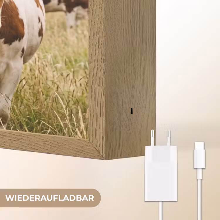 Koeien - Portret - Weide - Boerderij - Nieuwsgierig Light Box met batterij (Wandlamp) middel -USP_websiteoplaadbaarDE