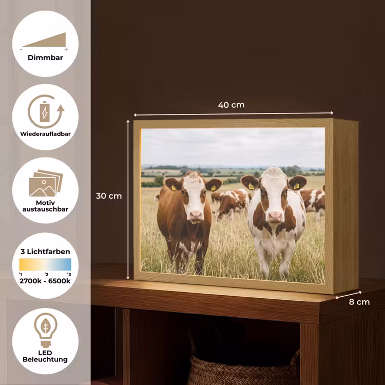 Koeien - Portret - Weide - Boerderij - Nieuwsgierig Light Box met batterij (Wandlamp) middel -USP_websiteoverzichtDE