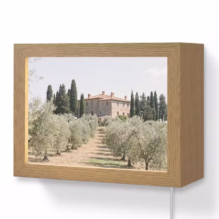 Lightbox - Wandleuchte - Landhaus – Olivenbaum – Obstgarten - Landhuis - olijfboom - gaard Light Box met kabel (Wandlamp) klein