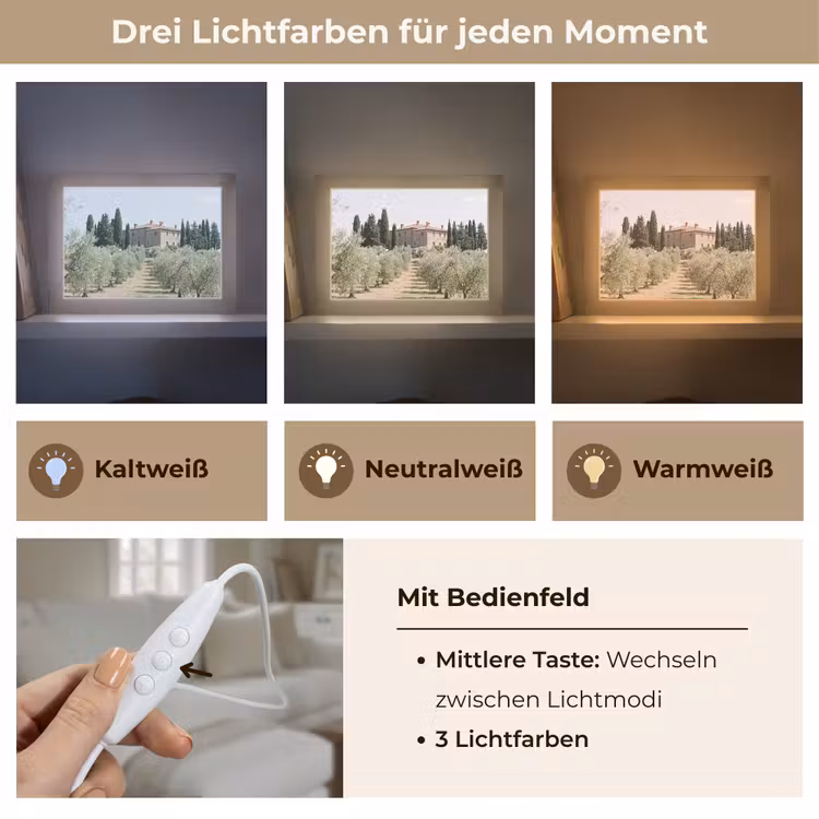 Lightbox - Wandleuchte - Landhaus – Olivenbaum – Obstgarten - Landhuis - olijfboom - gaard Light Box met kabel (Wandlamp) klein