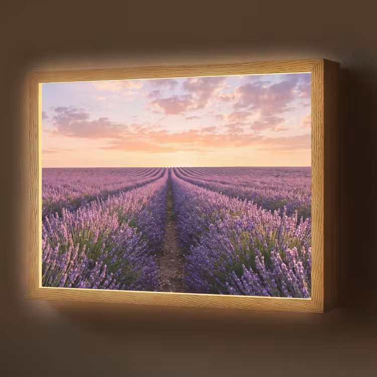 Landschap - Lavendelveld - Paars Light Box met batterij (Wandlamp) middel -z3d_website