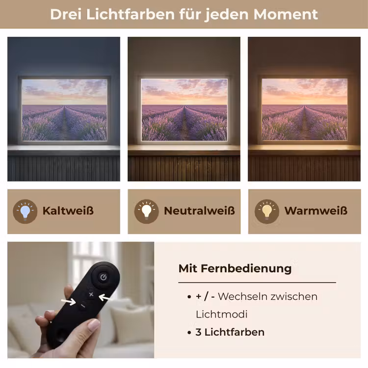 Landschap - Lavendelveld - Paars Light Box met batterij (Wandlamp) middel -USP_lichtkleurDE