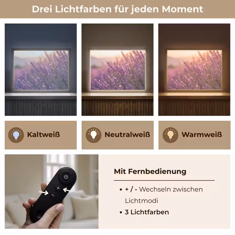 Lavendel - Paars - Zonlicht Light Box met batterij (Wandlamp) middel -USP_lichtkleurDE