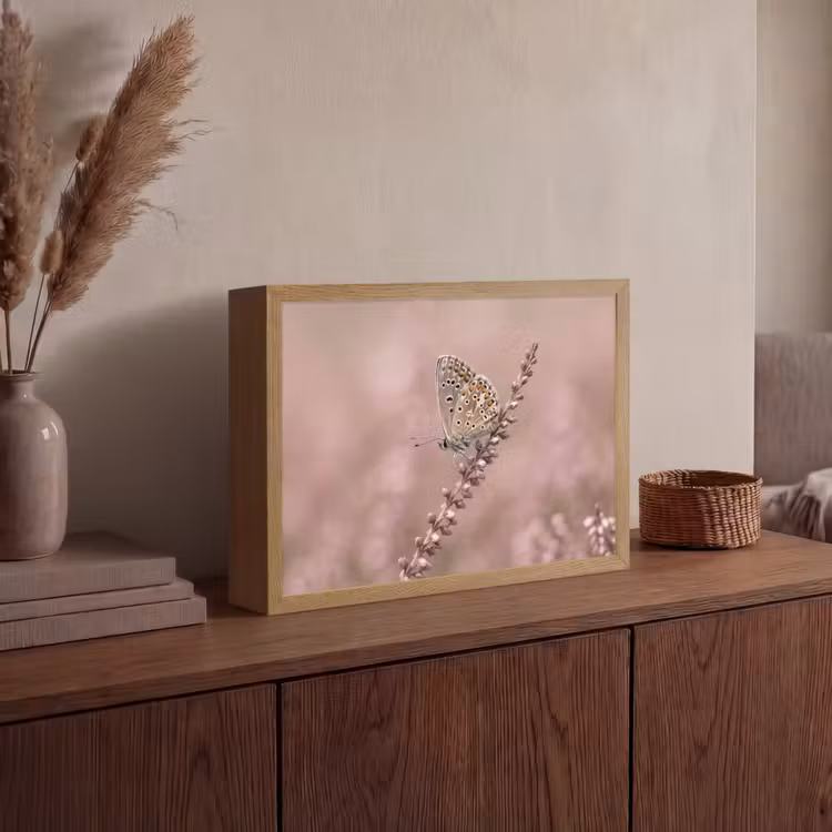 Lavendel - Vlinder - Paars Light Box met batterij (Wandlamp) middel -sfeer2
