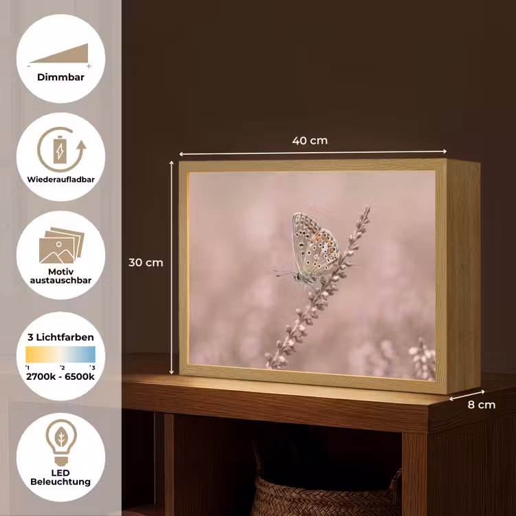Lavendel - Vlinder - Paars Light Box met batterij (Wandlamp) middel -USP_websiteoverzichtDE