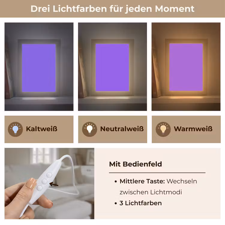 Vivid - Violet - Paars Light Box met kabel (Wandlamp) klein 929 -USP_lichtkleurDE