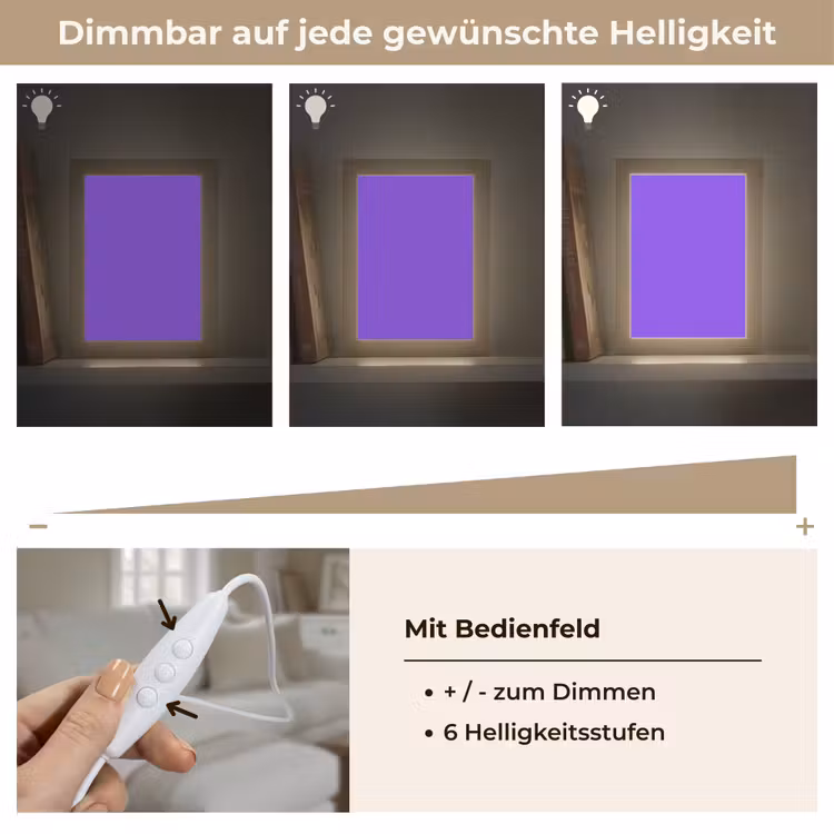Vivid - Violet - Paars Light Box met kabel (Wandlamp) klein 929 -USP_dimbaarDE