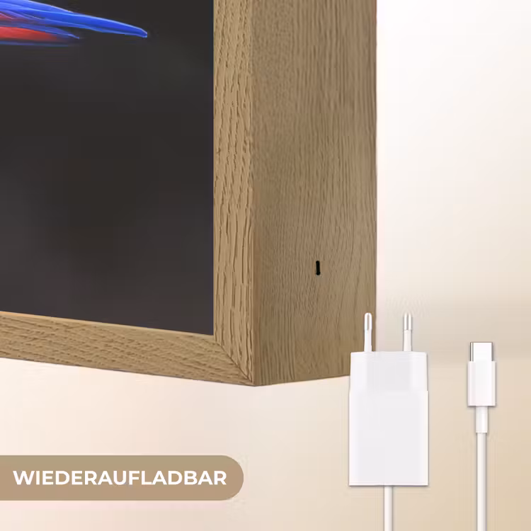 Felgekleurd - Papegaai - Bos - Vleugels Light Box met batterij (Wandlamp) middel -USP_websiteoplaadbaarDE