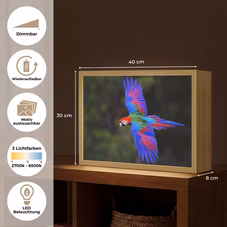 Felgekleurd - Papegaai - Bos - Vleugels Light Box met batterij (Wandlamp) middel -USP_websiteoverzichtDE