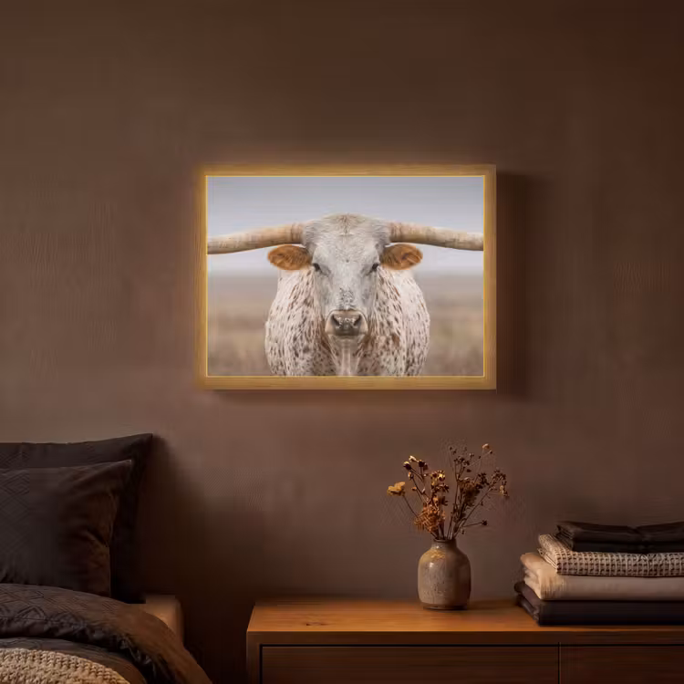 Longhorn - Grasveld - Dier Light Box met batterij (Wandlamp) middel -sfeer4