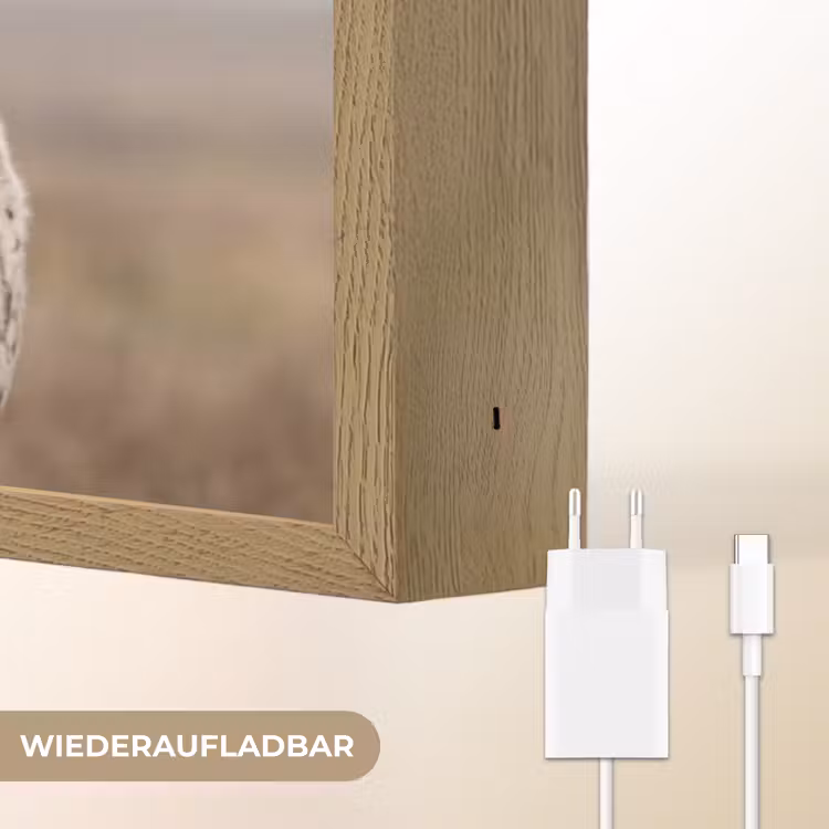 Longhorn - Grasveld - Dier Light Box met batterij (Wandlamp) middel -USP_websiteoplaadbaarDE