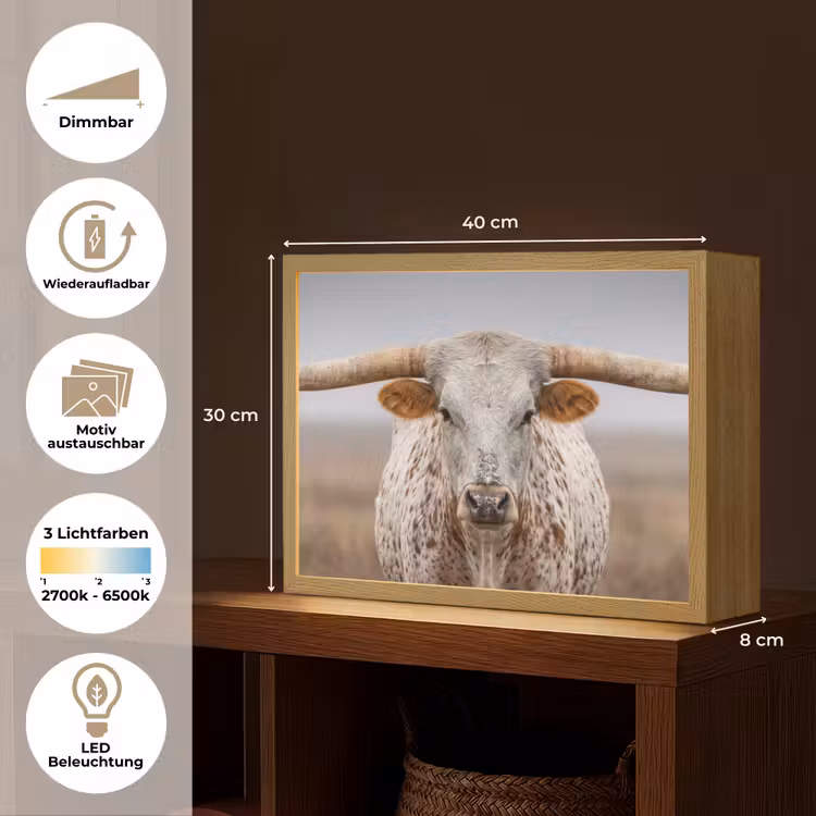 Longhorn - Grasveld - Dier Light Box met batterij (Wandlamp) middel -USP_websiteoverzichtDE