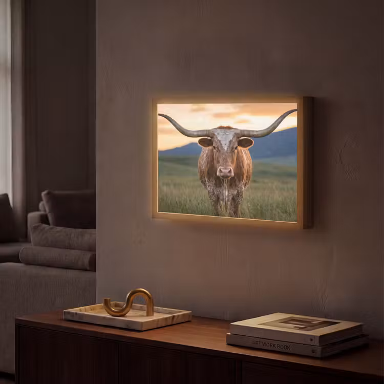 Longhorn - Landschap - Zonsondergang Light Box met batterij (Wandlamp) middel -sfeer1