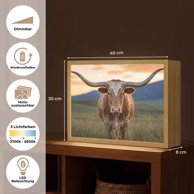 Longhorn - Landschap - Zonsondergang Light Box met batterij (Wandlamp) middel -USP_websiteoverzichtDE
