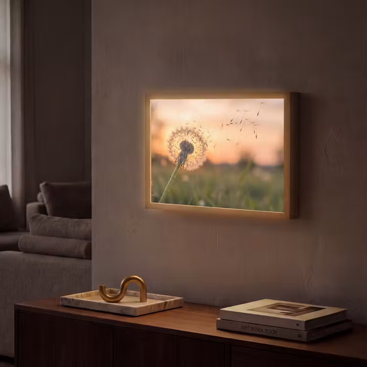 Paardenbloem - Zonsondergang - Veld Light Box met batterij (Wandlamp) middel -sfeer1
