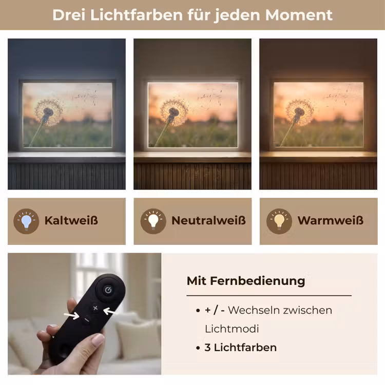 Paardenbloem - Zonsondergang - Veld Light Box met batterij (Wandlamp) middel -USP_lichtkleurDE