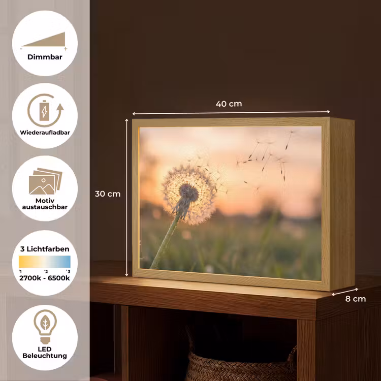 Paardenbloem - Zonsondergang - Veld Light Box met batterij (Wandlamp) middel -USP_websiteoverzichtDE