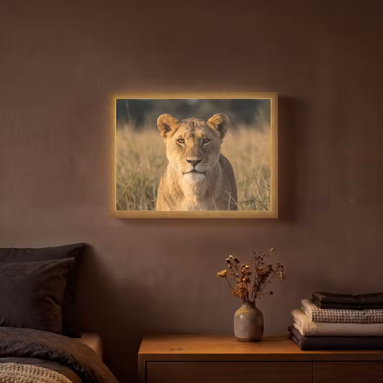 Leeuwin - Gras - Geel Light Box met batterij (Wandlamp) middel -sfeer4
