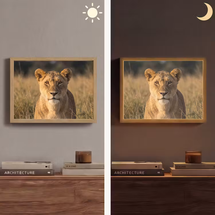 Leeuwin - Gras - Geel Light Box met batterij (Wandlamp) middel -sfeer3
