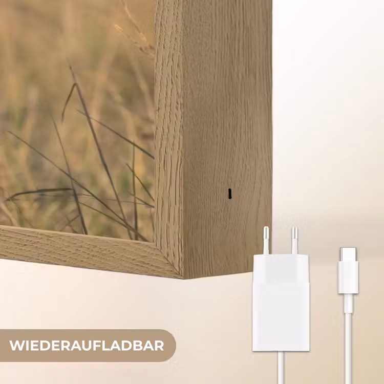 Leeuwin - Gras - Geel Light Box met batterij (Wandlamp) middel -USP_websiteoplaadbaarDE