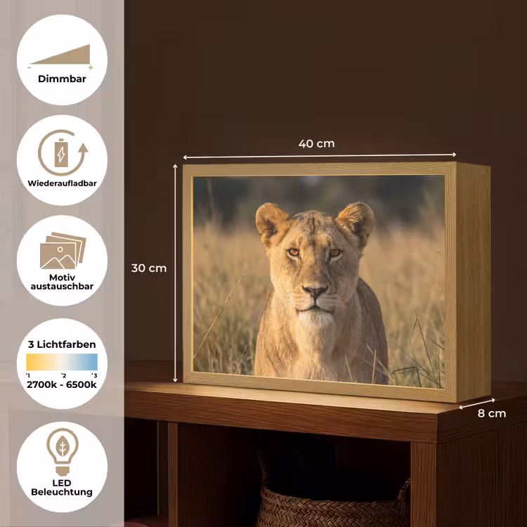 Leeuwin - Gras - Geel Light Box met batterij (Wandlamp) middel -USP_websiteoverzichtDE