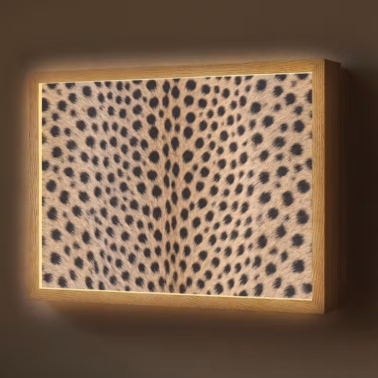 Vacht - Jachtluipaard - Zwart - Wit Light Box met batterij (Wandlamp) middel -z3d_website