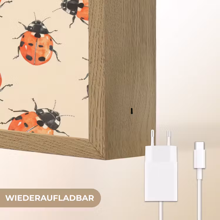 Lieveheersbeestjes - Patroon - Rood Light Box met batterij (Wandlamp) middel 907 -USP_websiteoplaadbaarDE