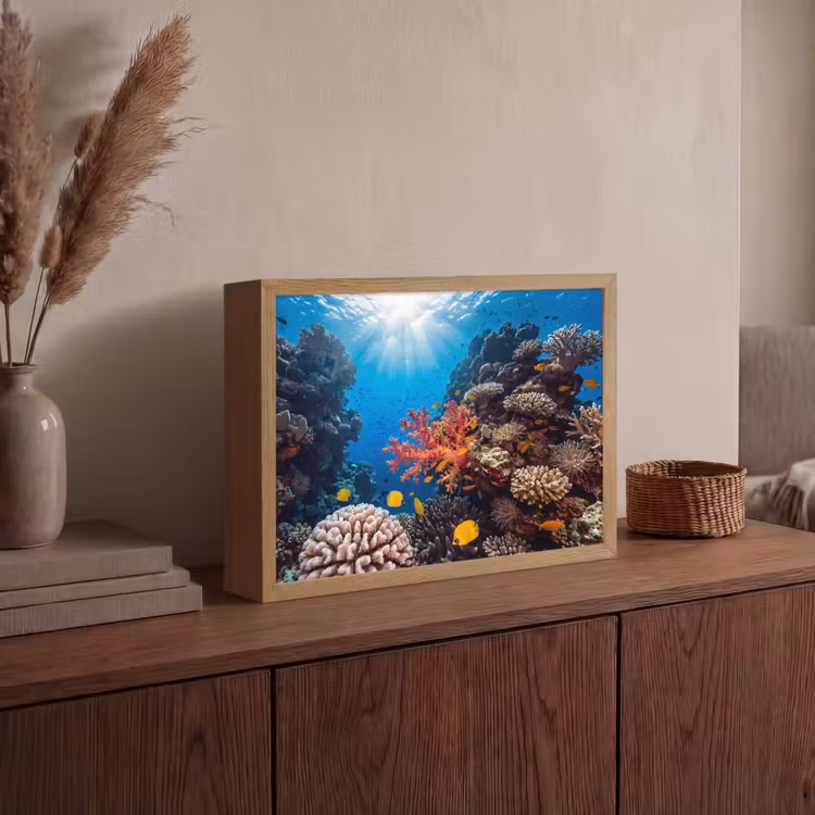 Zee - Koraalrif - Natuur - Levendig - Blauw Light Box met batterij (Wandlamp) middel -sfeer2