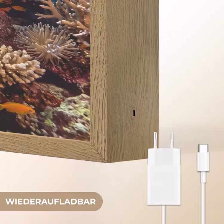 Zee - Koraalrif - Natuur - Levendig - Blauw Light Box met batterij (Wandlamp) middel -USP_websiteoplaadbaarDE