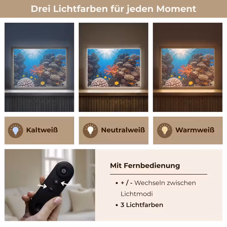 Zee - Koraalrif - Natuur - Levendig - Blauw Light Box met batterij (Wandlamp) middel -USP_lichtkleurDE