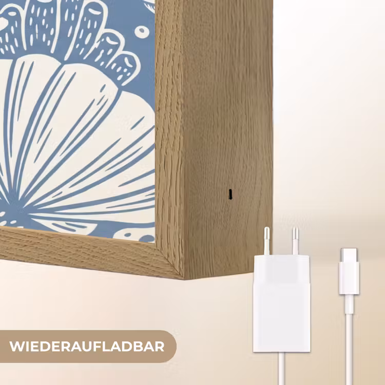 Zeeleven - Koraal - Schelp - Vis - Illustratie - Onderwater Light Box met batterij (Wandlamp) middel -USP_websiteoplaadbaarDE