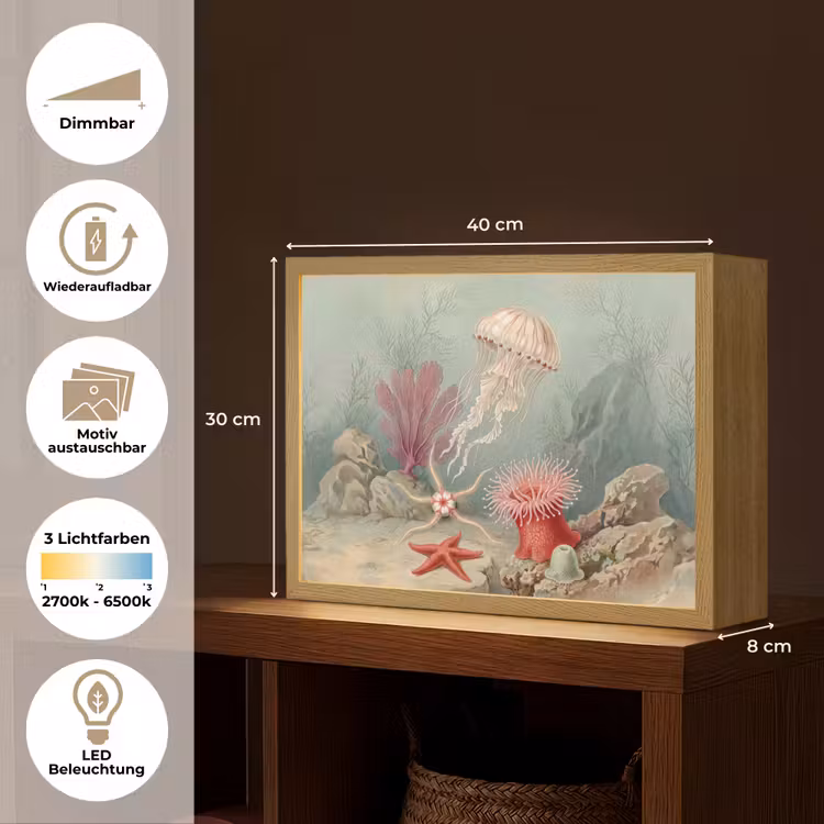 Zeeleven - Kwal - Onderwater - Illustratie - Beige Light Box met batterij (Wandlamp) middel -USP_websiteoverzichtDE