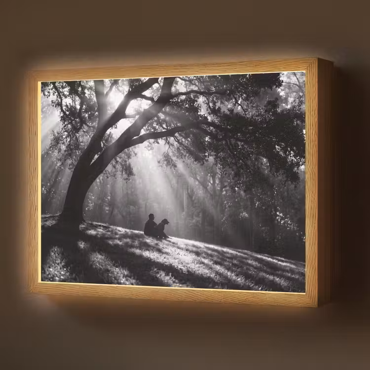 Mens - Hond - Natuur - Zwart-wit - Silhouet Light Box met batterij (Wandlamp) middel -z3d_website