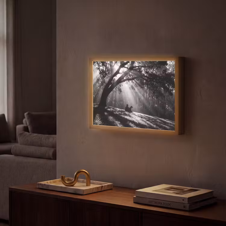 Mens - Hond - Natuur - Zwart-wit - Silhouet Light Box met batterij (Wandlamp) middel -sfeer1