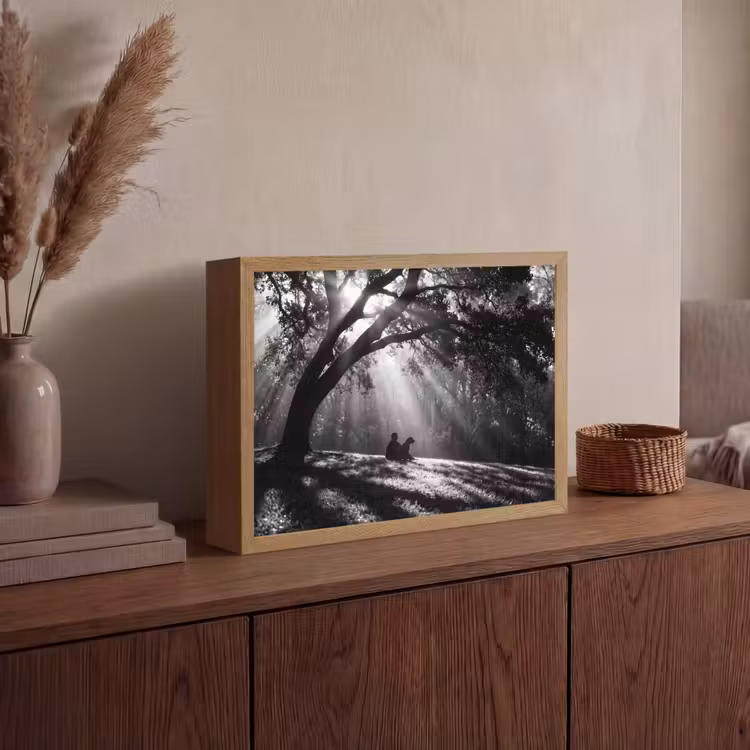 Mens - Hond - Natuur - Zwart-wit - Silhouet Light Box met batterij (Wandlamp) middel -sfeer2