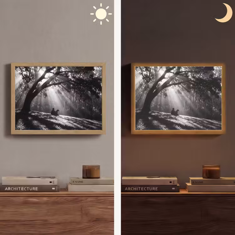 Mens - Hond - Natuur - Zwart-wit - Silhouet Light Box met batterij (Wandlamp) middel -sfeer3