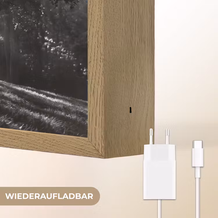 Mens - Hond - Natuur - Zwart-wit - Silhouet Light Box met batterij (Wandlamp) middel -USP_websiteoplaadbaarDE