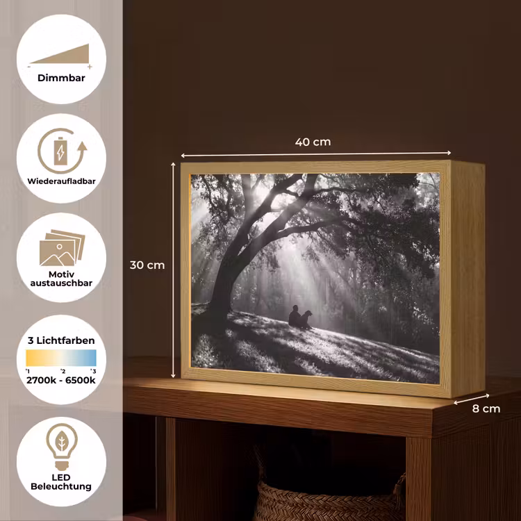 Mens - Hond - Natuur - Zwart-wit - Silhouet Light Box met batterij (Wandlamp) middel -USP_websiteoverzichtDE