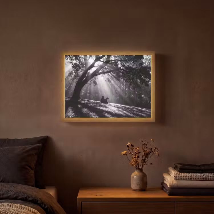 Mens - Hond - Natuur - Zwart-wit - Silhouet Light Box met batterij (Wandlamp) middel -sfeer4