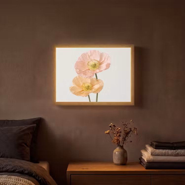 Papavers - Botanisch - Roze Light Box met batterij (Wandlamp) middel -sfeer4