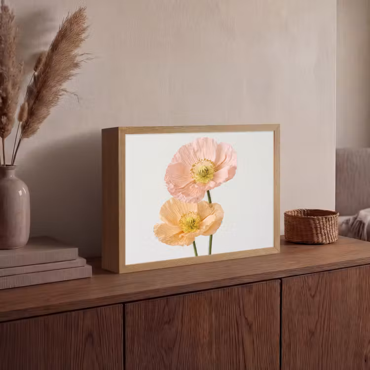 Papavers - Botanisch - Roze Light Box met batterij (Wandlamp) middel -sfeer2