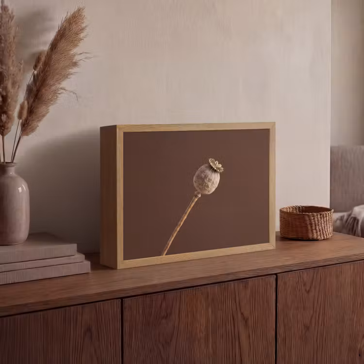 Papaverbol - Droogbloem - Bruin - Minimalistisch Light Box met batterij (Wandlamp) middel -sfeer2